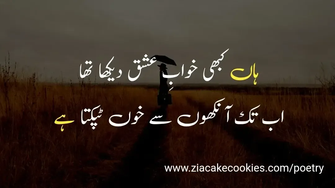 urdu shayari ishq, shayari in urdu text