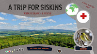 A Trip for Siskins - pdf