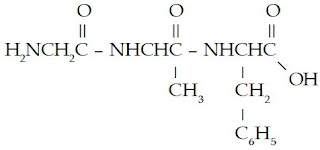 glisilalanilfenilalanin tripeptida