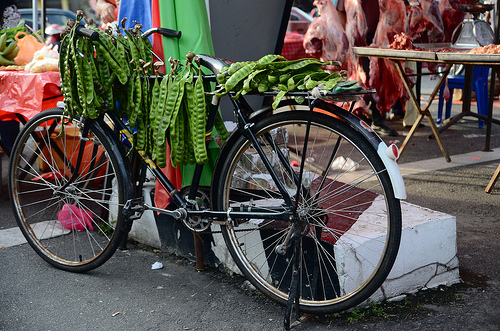 Basikal Zaman Dahulu