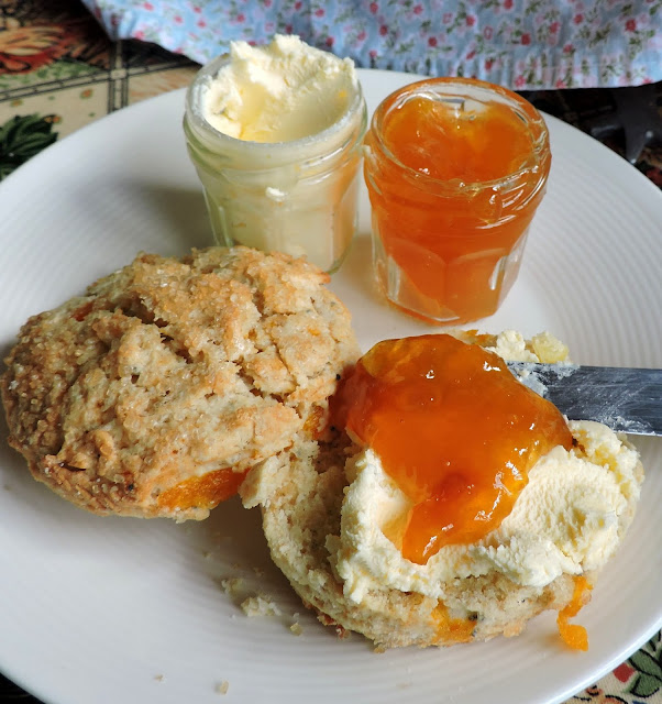 Tender Peach & Vanilla Scones