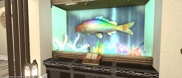 七色の鯉が入った水槽のハウジング画像