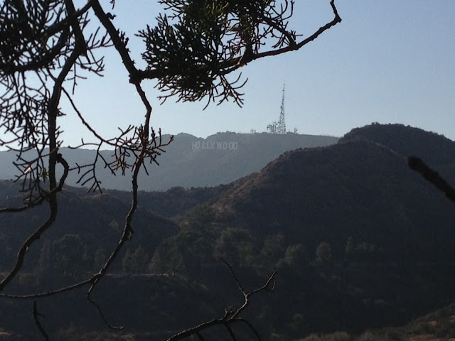 Hollywood sign from Griffith Park by Rachel Medanic