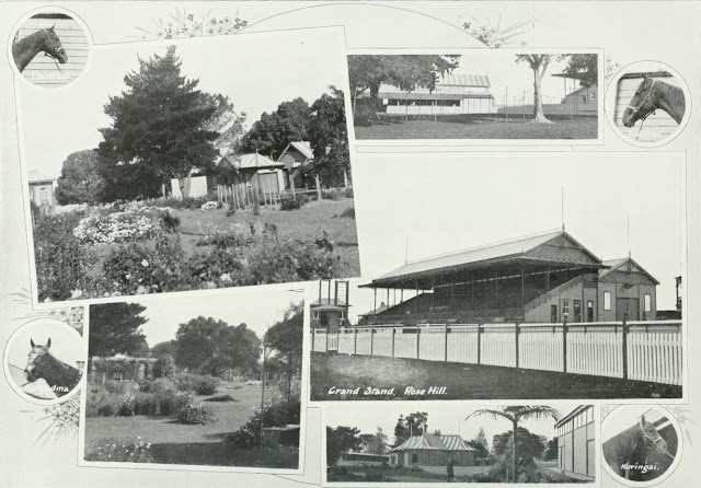 Views of Rosehill Racecourse, near the Parramatta River NSW c1910