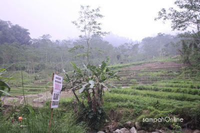 Persawahan Terasering Curug 7 Bidadari