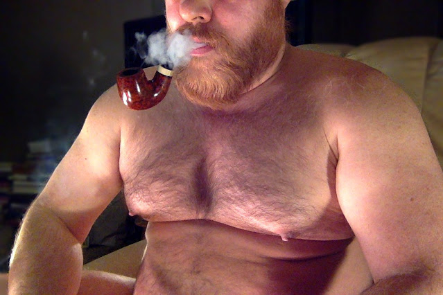 Fat bear shirtless from waist to neck with unseen face holding pipe in mouth sitting indoors at a desk