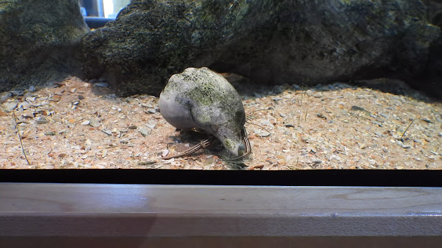 Guana Tolomato Matanzas National Estuarine Research Reserve