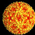 Aphtho virus