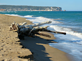 Fonollera i Mas Pinell Beach, Costa Brava