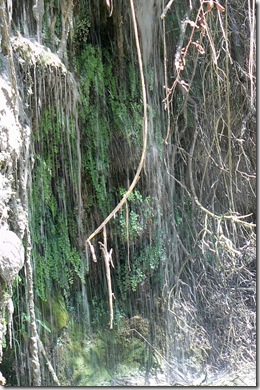 P1210935
