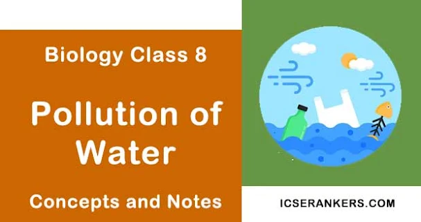 Pollution of Water- Class 8 Science Guide