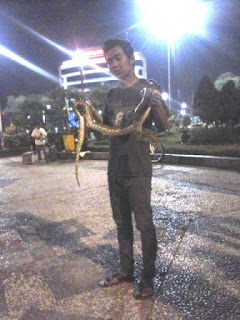 KOMUNITAS VARANUS SALVATOR SEMARANG