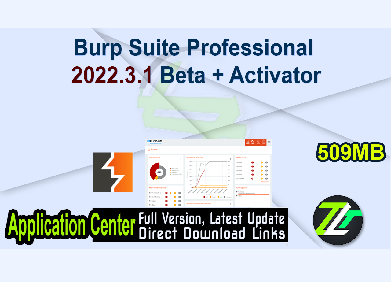 Burp Suite Professional 2022.3.1 Beta + Activator