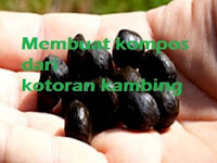 Membuat Pupuk Kompos dari Kotoran Kambing dengan EM4