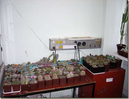 P1000832