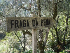 FraP (1)