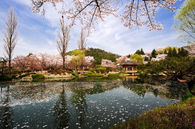 KUMPULAN GAMBAR PEMANDANGAN INDAH DI KOREA Tempat Wisata 