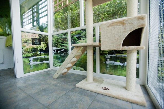 CoolPictureGallery: Beautiful cat house