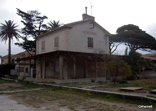 urbex-anciennes-gares-hyeres-palmiers-plm-jpg