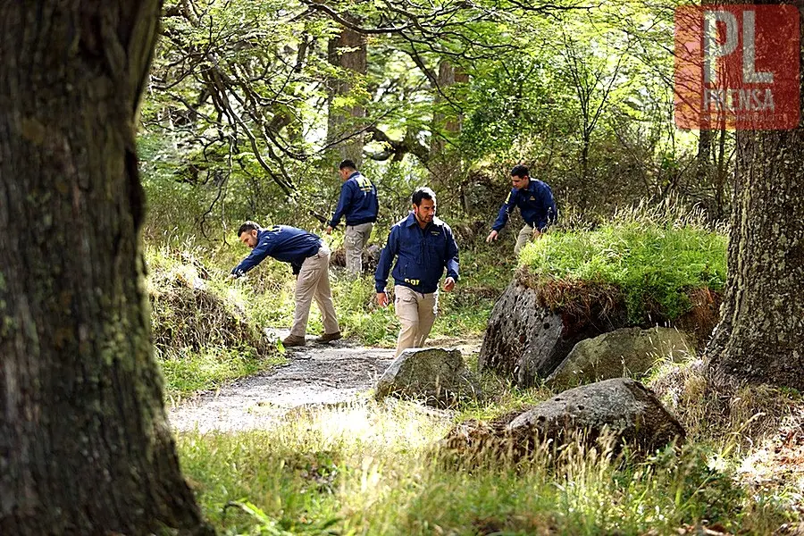 Investigan hallazgo de cadáver de mujer en playa de Chiloé