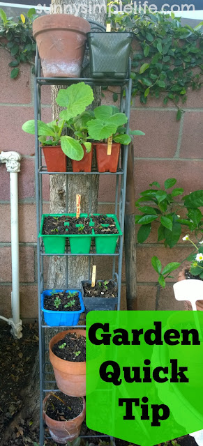 DIY seed starter stand from old dvd shelf