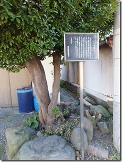 DSCF2553152