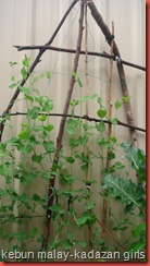PEA (2)