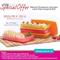 PROMO OKTOBER-ELC PAK N STOR