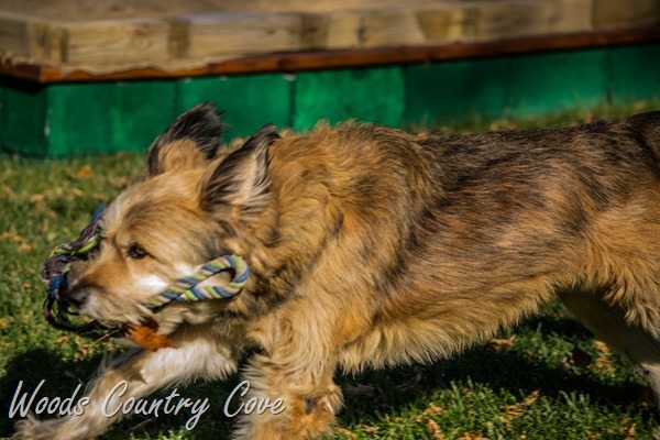 NOVEMBER 2015 (42 of 63)
