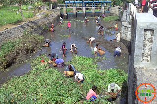 Pintu Air DAM Jambu Desa Sundul Dibuka : Ramai Mencari Ikan