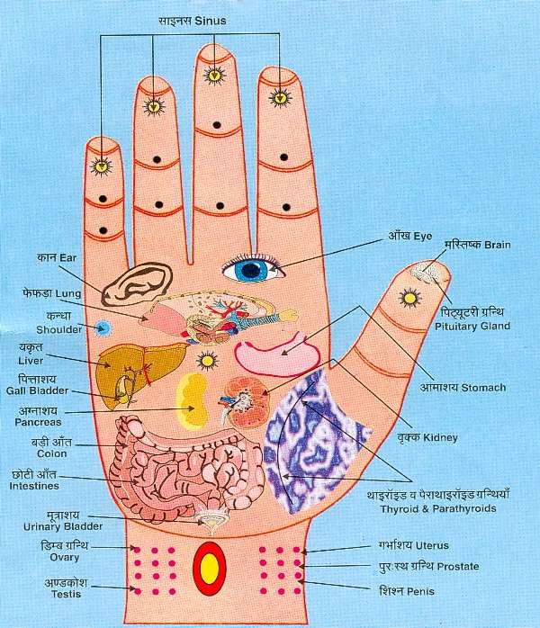 FIREBERT: Reflex points, hands, feet and face.