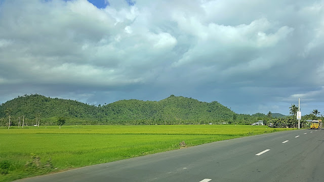 ricefields outside of Alangalang Leyte