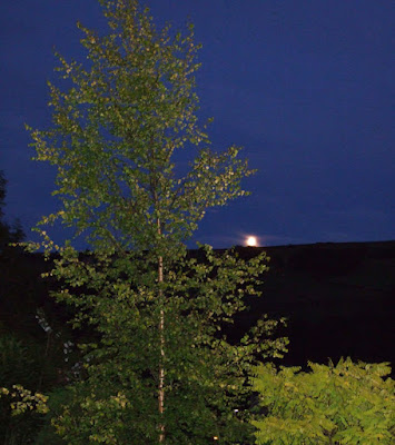 Garden glimpses of the moon peeping above Cartworth Moor