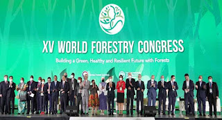 Seoul Forest Declaration