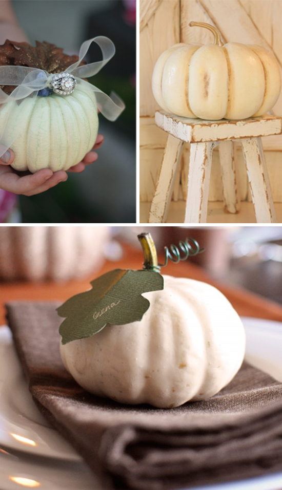 White Pumpkin Fall Wedding Inspiration Board