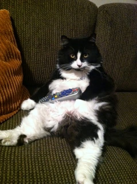 The Boss