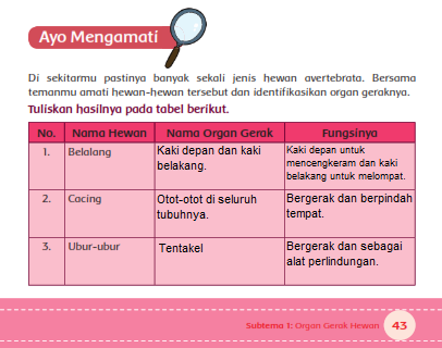 Kunci Jawaban Tematik Tema 1 Kelas 5 Hal 43 Ayo Mengamati 