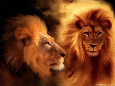 wallpapers lion. Tiger Wallpapers, Lion