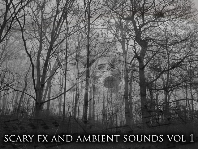 Scary FX and Ambient sounds