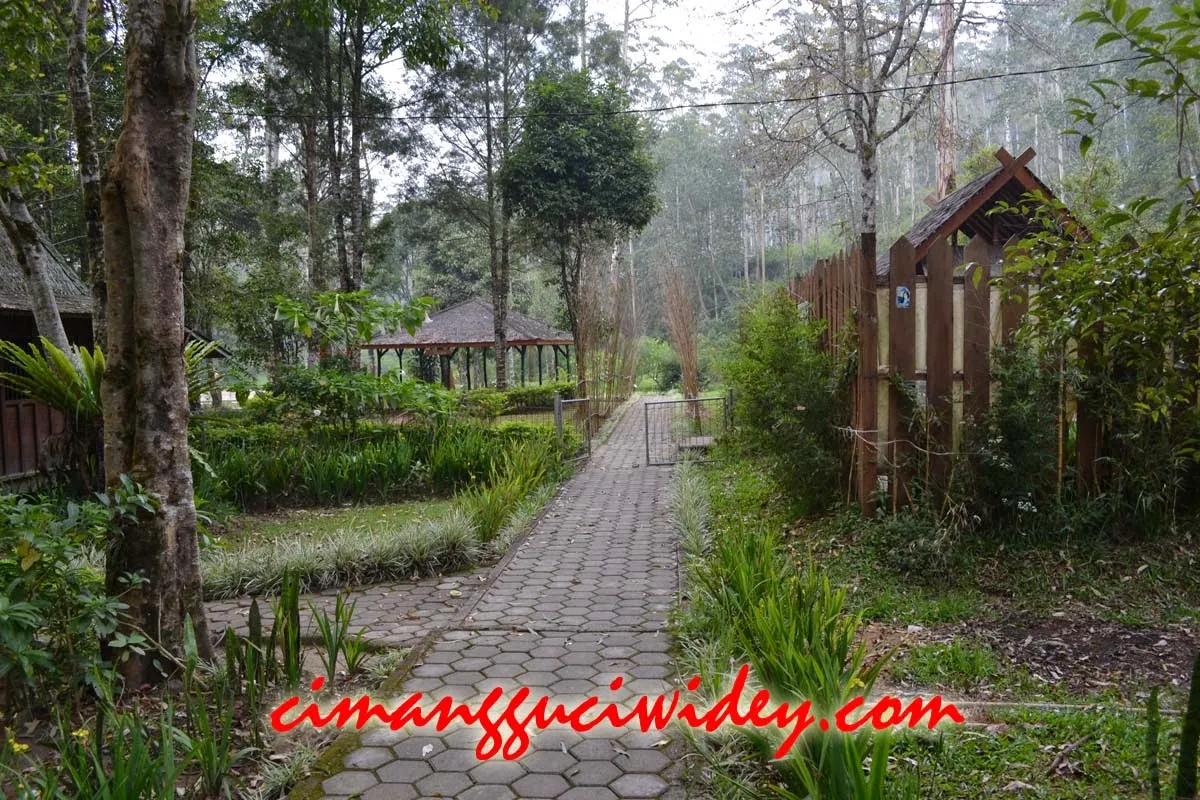 Cimanggu Cottage Pinus