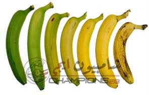 انواع الموز لكمال اجسام , علاقة الموز لبناء العضلات