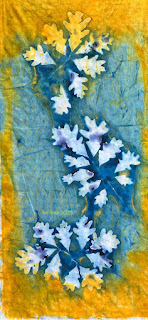 Sue Reno_wet cyanotype_image 1046