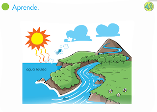 http://www.primerodecarlos.com/SEGUNDO_PRIMARIA/enero/tema2/actividades/cono/aprende_ciclo_agua/visor.swf