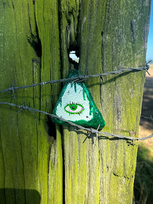 Zwerfsteen met geschilderd oog