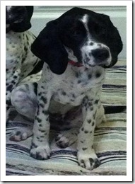 FLO PERDIDO!!!