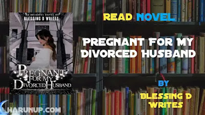 Pregnant For My Divorced Husband Novel