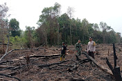 Kebakaran Hutan Dan Lahan Di Wilayah Hukum Polsek Penukal  Abab Pali