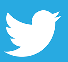 ¡Sigue a Liz en Twitter!