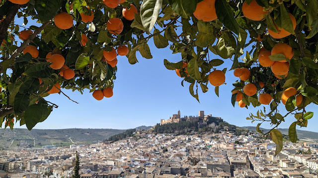 Off the beaten track in Andalucia early spring 2024 - Trip report