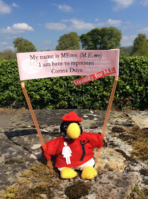 MEme a small stuffed penguin which is Corina Duyn's alter ego, is ready for action for M.E. Seated on a wall wearing a red tshirt and holding a banner